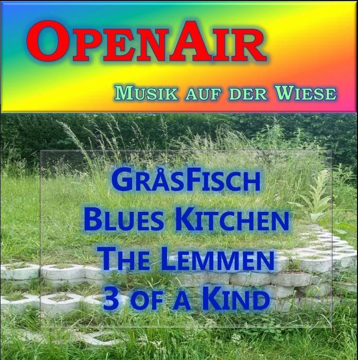 Mehr über den Artikel erfahren OpenAir – Musik auf der Wiese